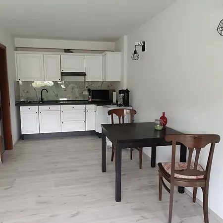 Apartment Mit Rheinblick *