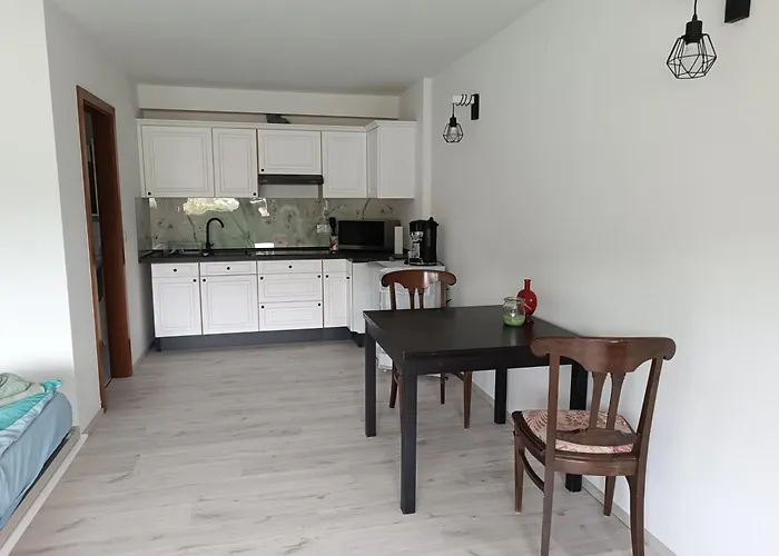 Апартаменты Mit Rheinblick *